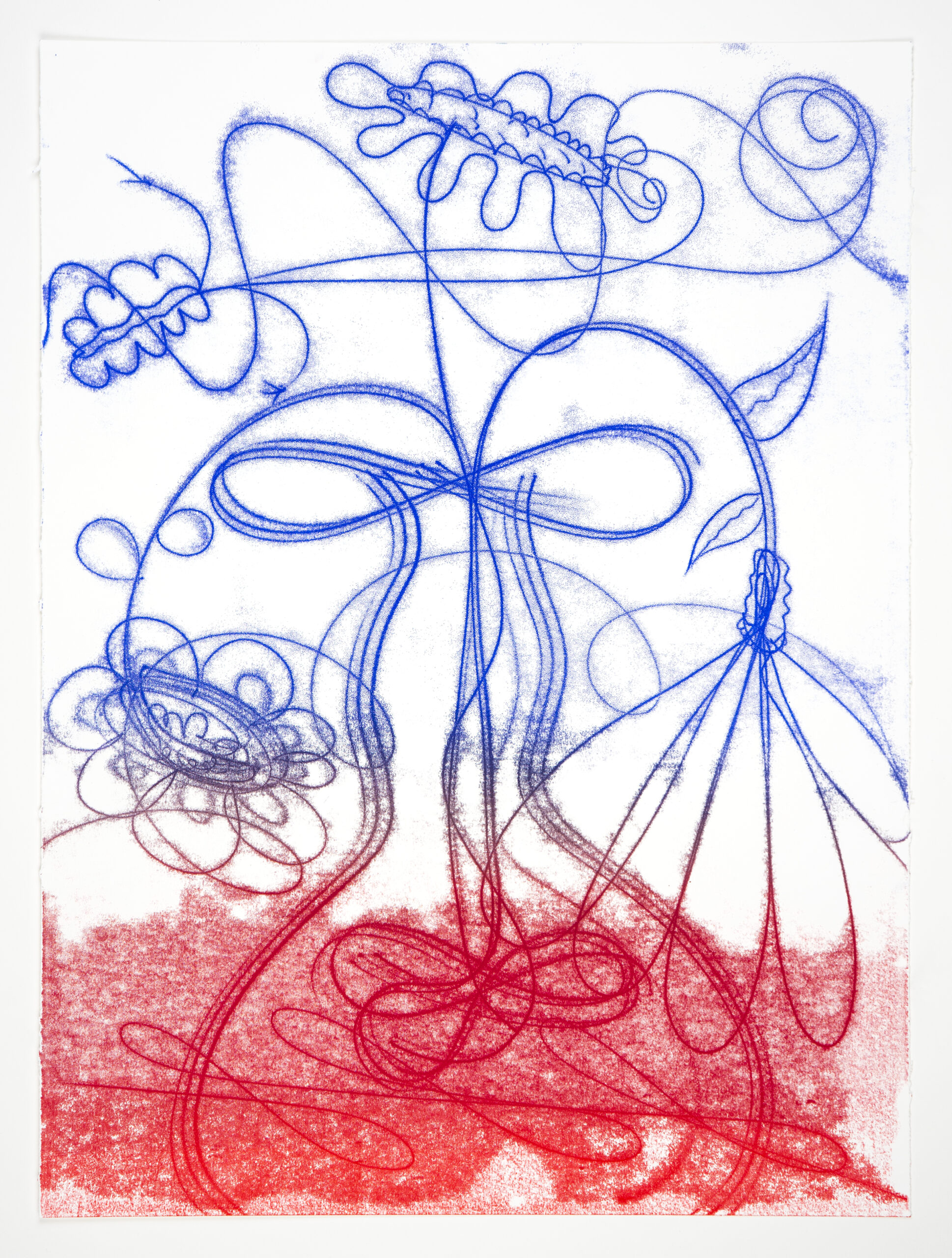 Flower Float No. 7 by Catherine Howe
