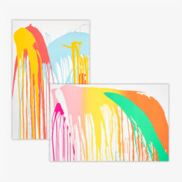 Na Molokama & Moani Ke Ala (Set Edition) by John Armleder at JRP|Editions
