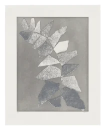 Leaflet 3 by Sam Moyer at ULAE